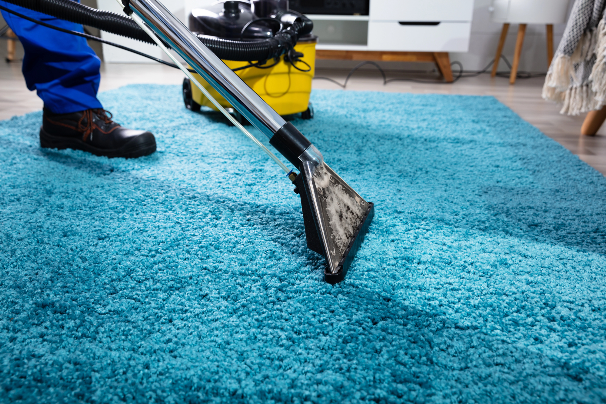 carpet cleaning in Lawrence with protective treatment