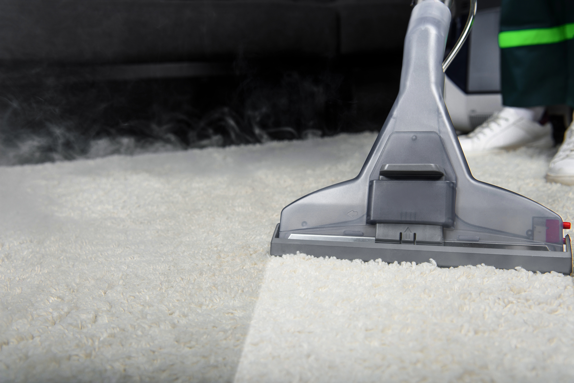 carpet cleaning near Lawrence for allergen removal